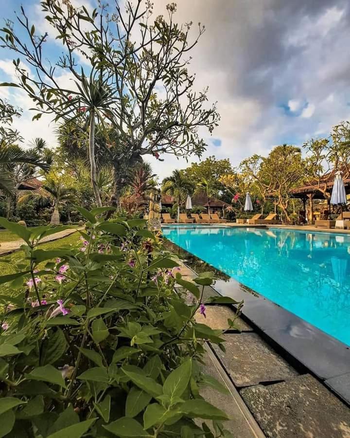 Pemuteran Tirta Sari Bungalow מראה חיצוני תמונה